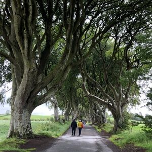 Meet your Posher, Ashlea